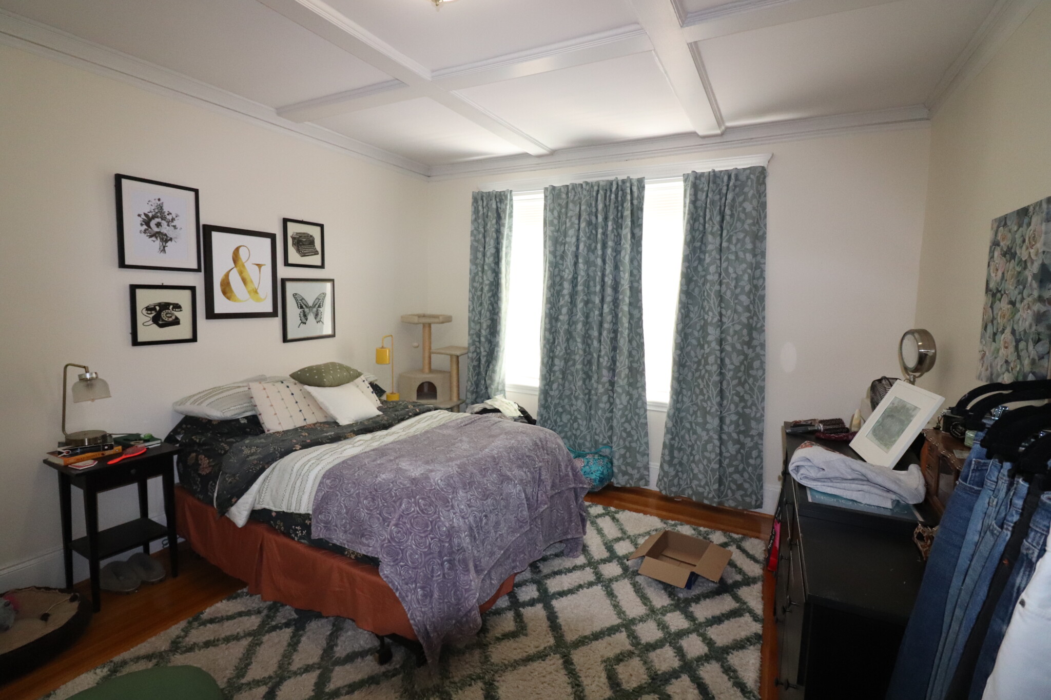 1 bed, 1 bath apartment for rent at 136 Pleasant St Unit 1, Coolidge Corner — photo 2 of 11