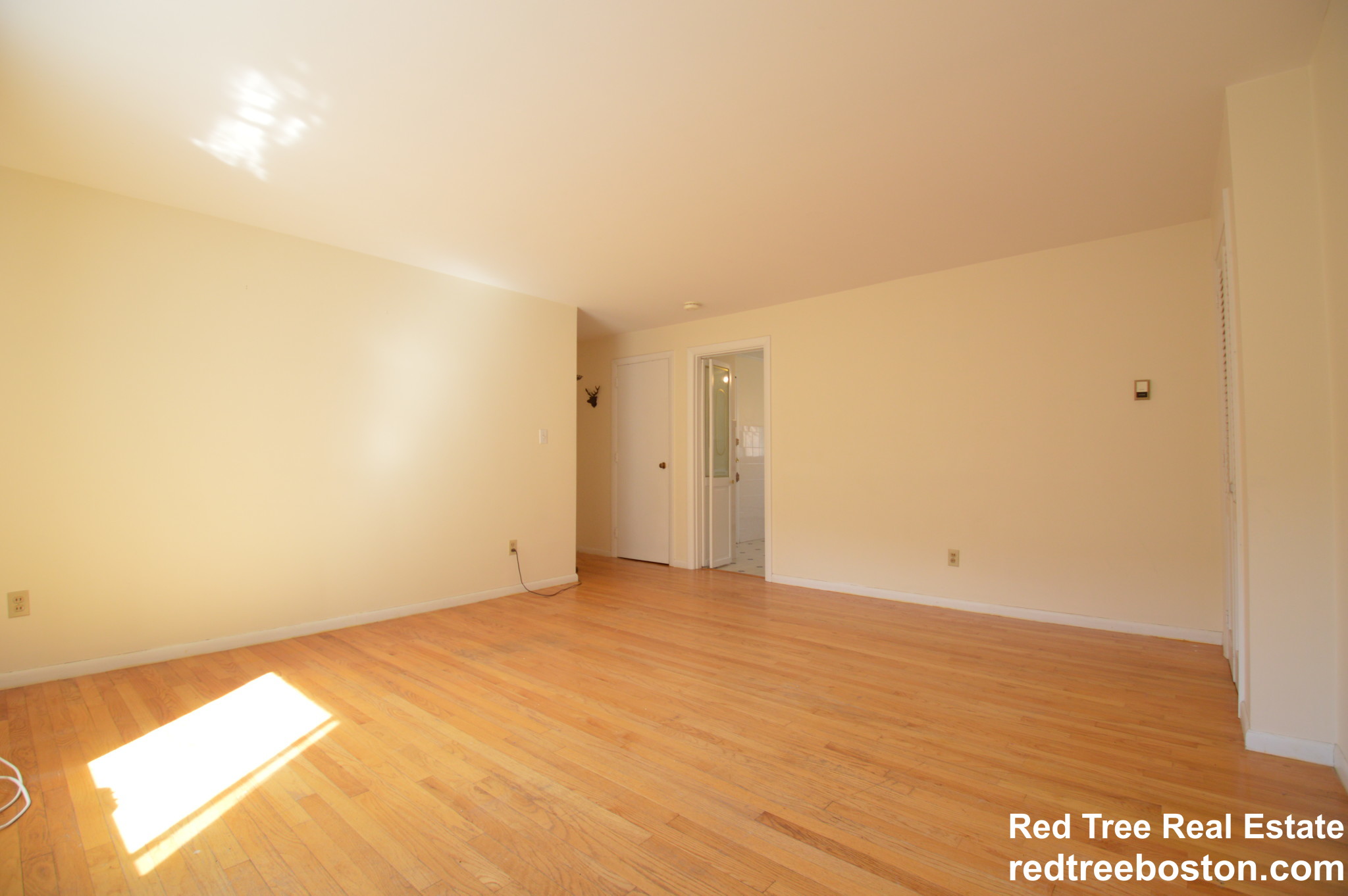 54 Bryon Rd, Chestnut Hill