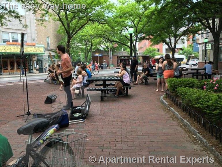 5 Clyde St, Davis Square