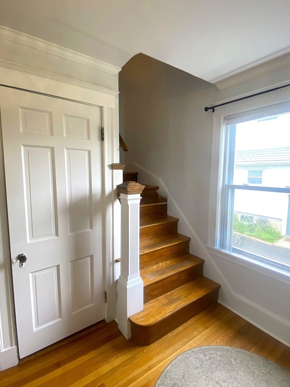 35 Reedsdale Rd, Milton