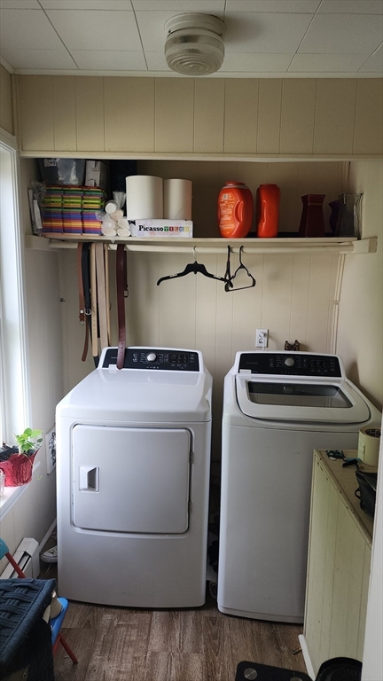 29 Bicknell St, Marlborough