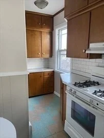 149 Wood St, Far North