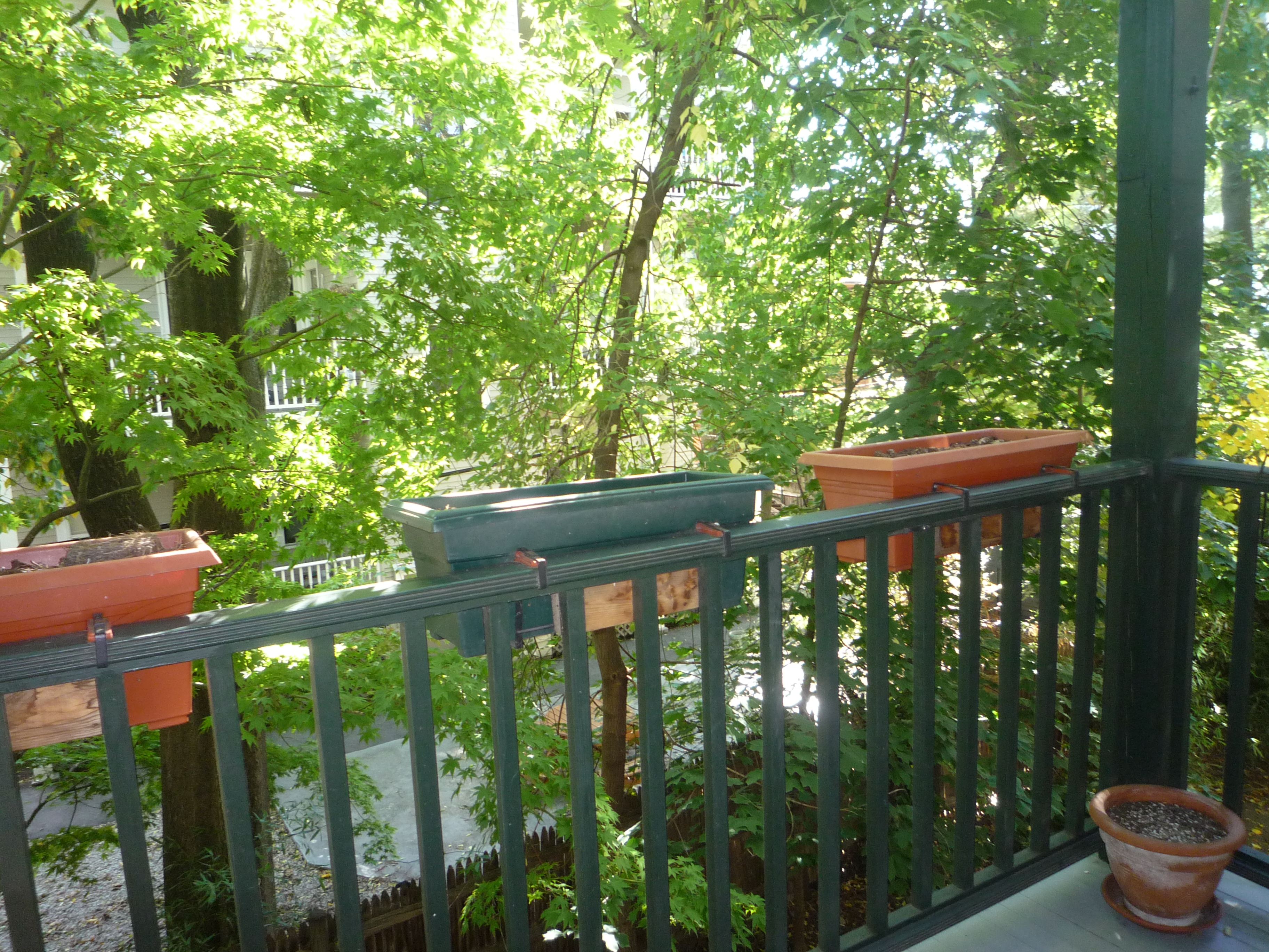 2 bed, 1 bath apartment for rent at 12 Remington St Unit 206, Harvard Square — photo 14 of 27