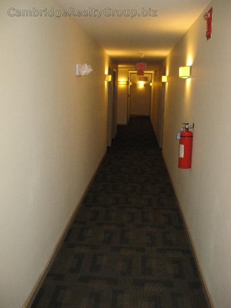 2 bed, 2 bath apartment for rent at 345 Franklin St Unit 302T, Central Square — photo 14 of 23