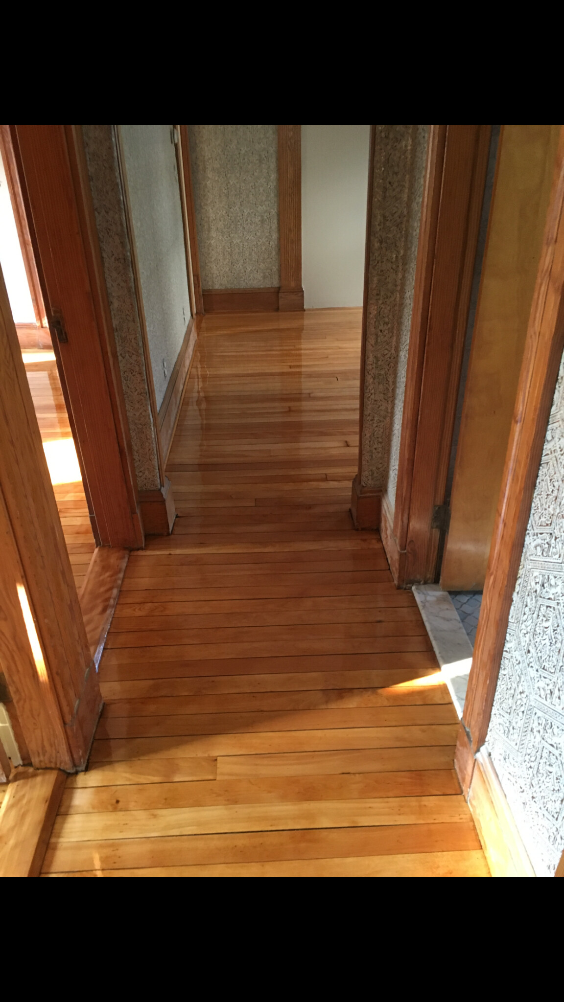 64 Chetwynd Rd, West Somerville