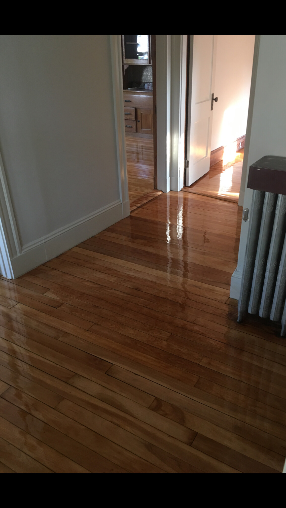 64 Chetwynd Rd, West Somerville