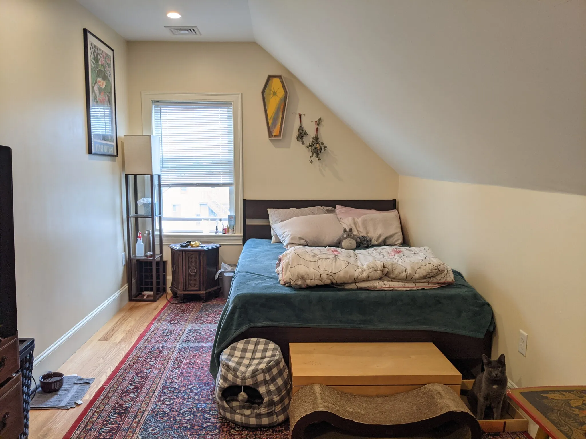 7 Sparhawk St, Brighton