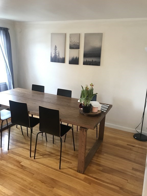 53 Elinor Rd, Newton Highlands