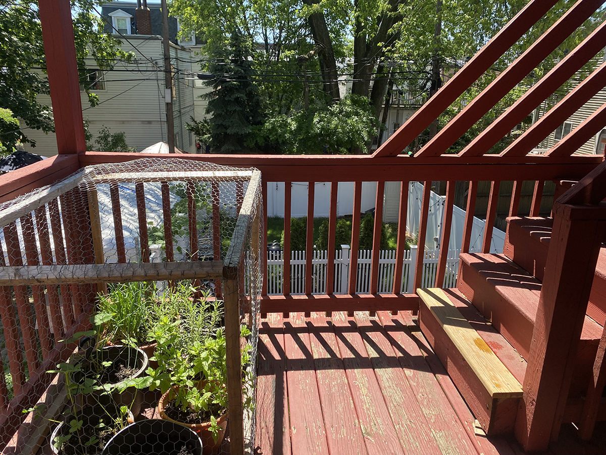 3 bed, 2 bath apartment for rent at 143 Lexington St Unit 1, East Boston — photo 6 of 18