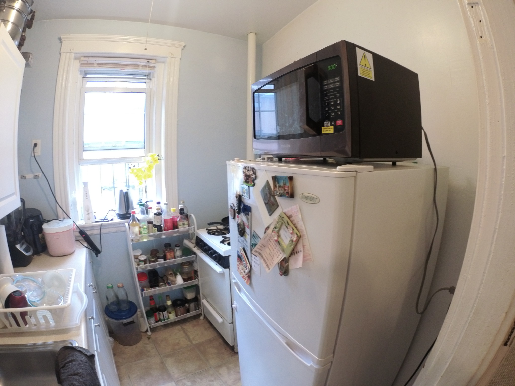 1 bed, 1 bath apartment for rent at 1440 Commonwealth Ave Unit 27, Brighton — photo 4 of 7