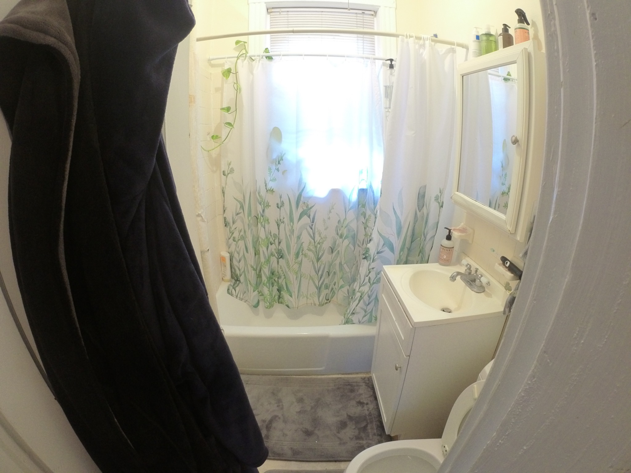 1 bed, 1 bath apartment for rent at 1440 Commonwealth Ave Unit 27, Brighton — photo 6 of 7