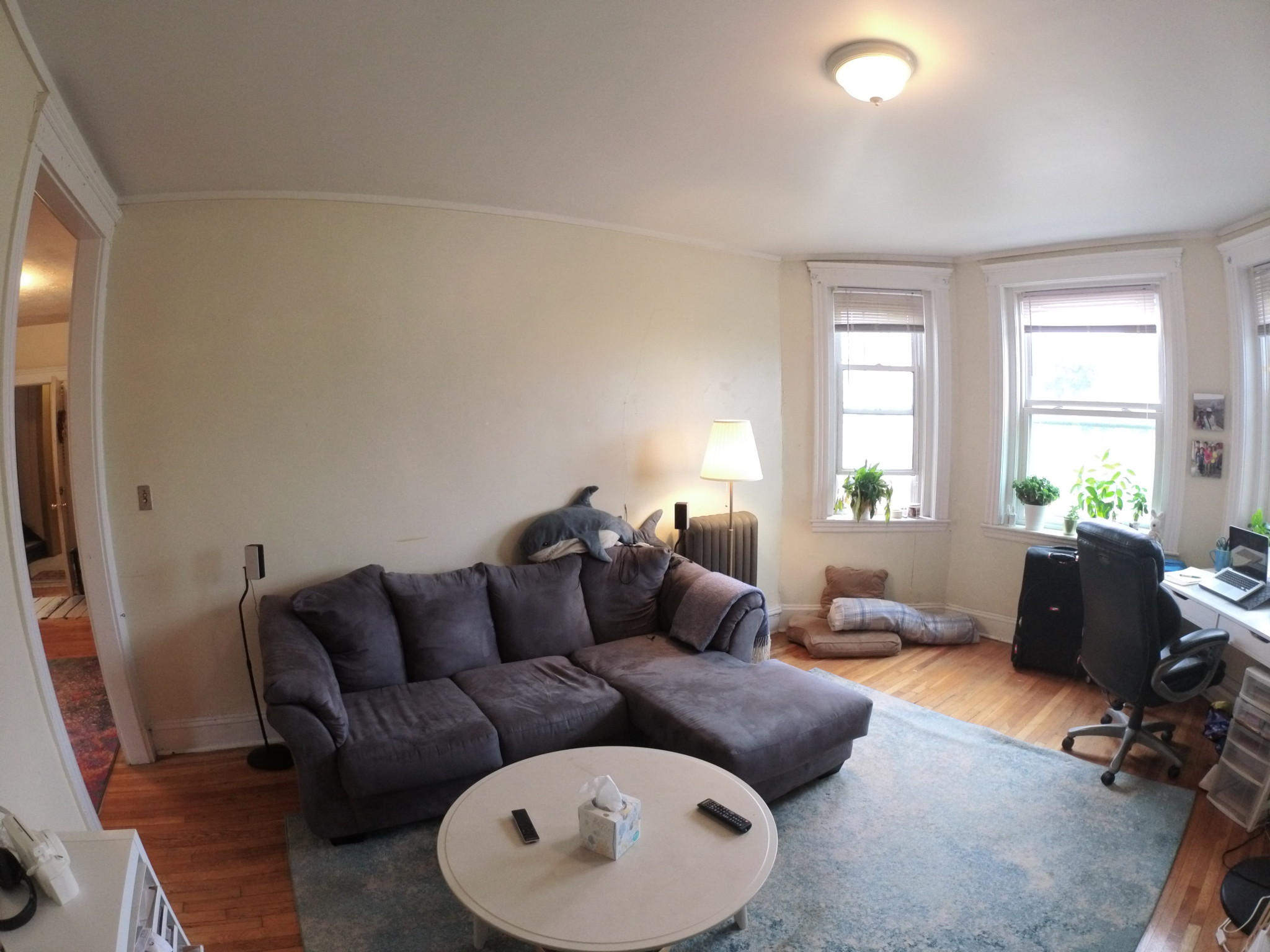 1 bed, 1 bath apartment for rent at 1441 Commonwealth Ave Unit 27, Brighton — photo 2 of 7