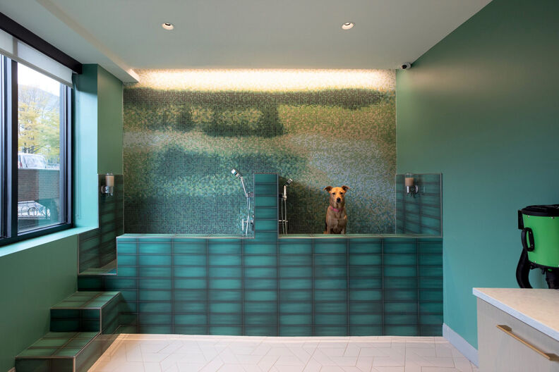 3 bed, 2 bath apartment for rent at 75 Saint Alphonsus St Unit 0607, Mission Hill — photo 17 of 42