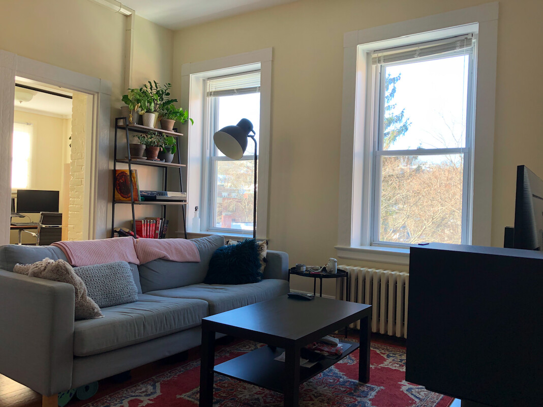 1.5 bed, 1 bath apartment for rent at 1477 Beacon St Unit 6, Coolidge Corner — photo 1 of 6