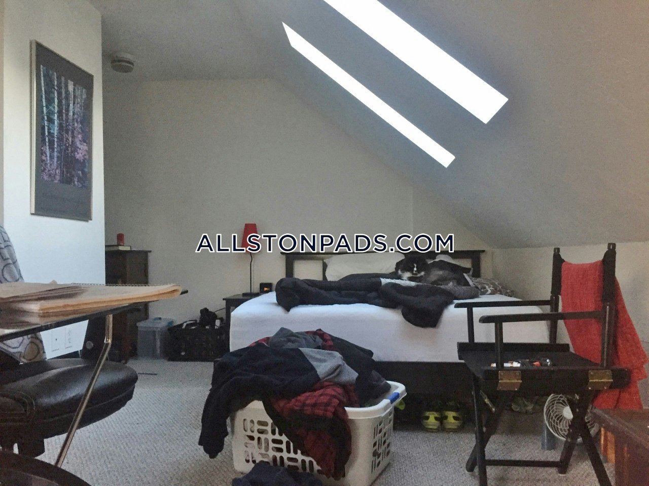 4 bed, 1 bath apartment for rent at 51 Gardner St Unit U1, Allston — photo 16 of 22