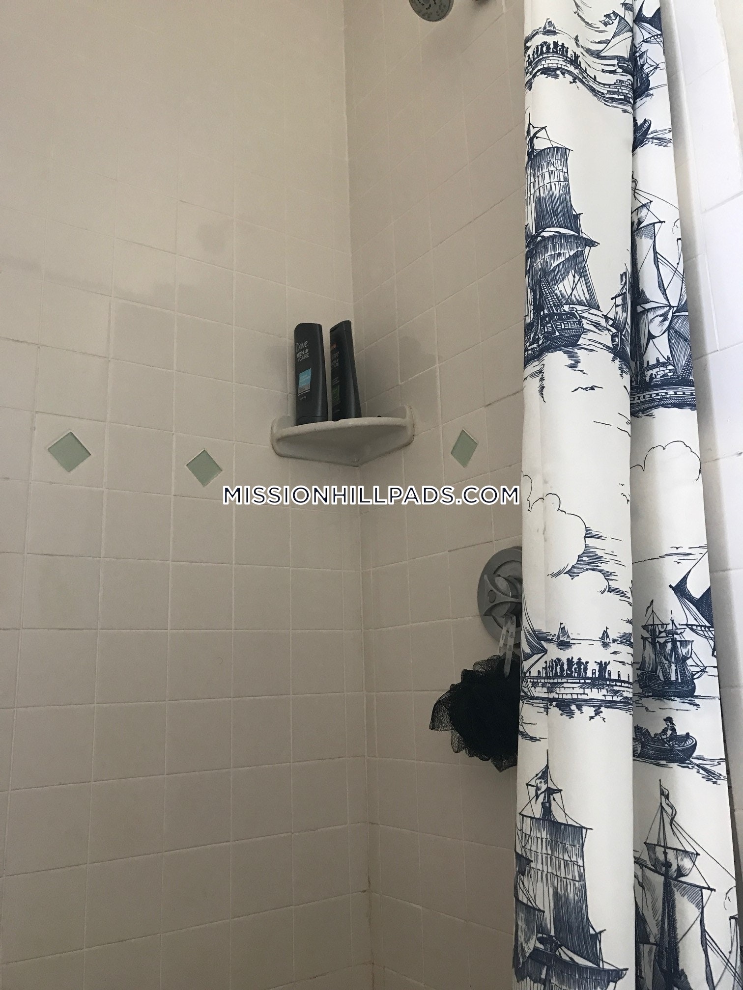 6 bed, 2.5 bath apartment for rent at 1 Sachem St Unit U3, Mission Hill — photo 19 of 45