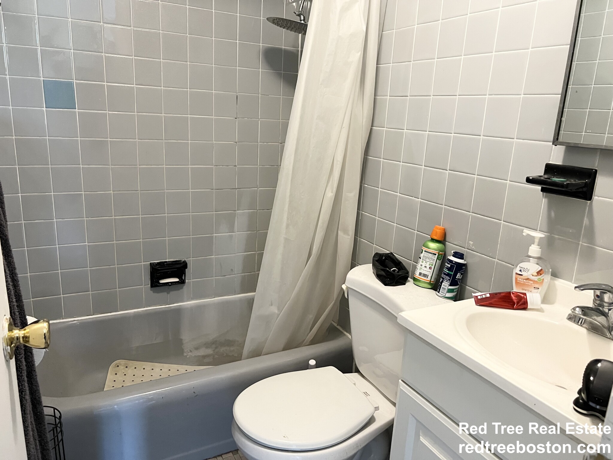 153 Brighton Ave, Brighton