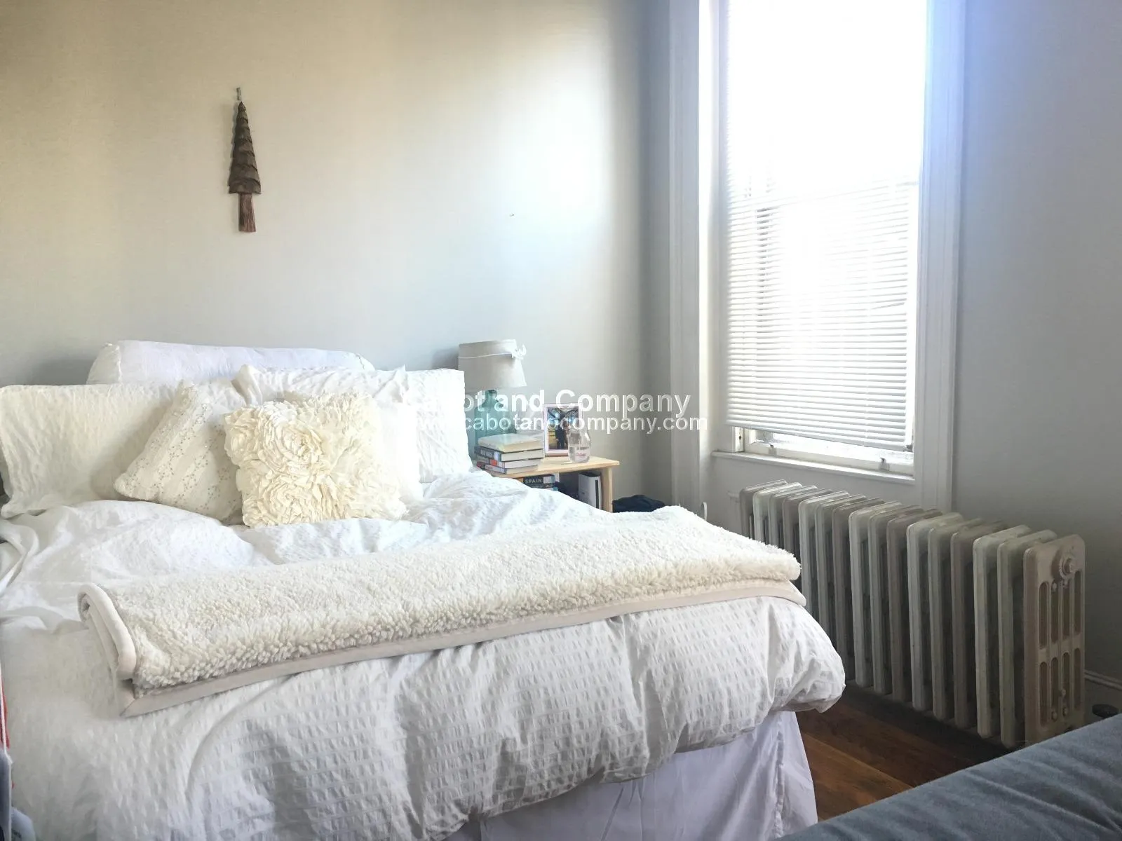 558 Columbus Ave, South End
