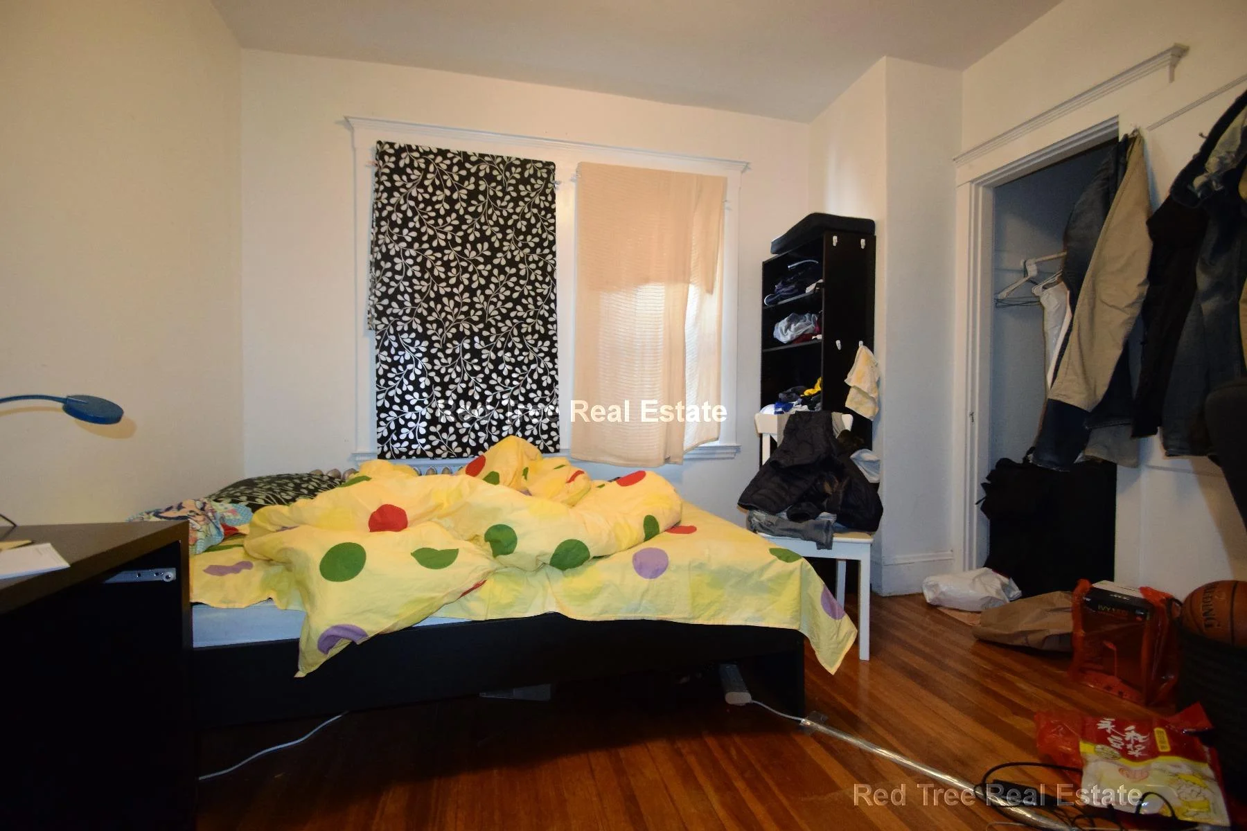 225 Chestnut Hill Ave, Brighton