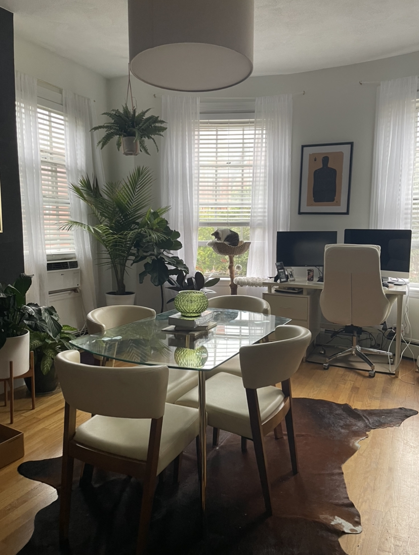 550 Tremont St, South End