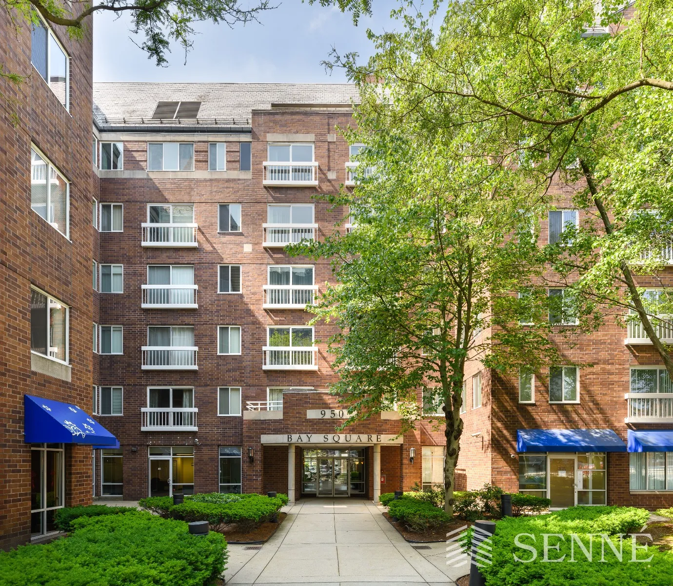 950 Massachusetts Ave, Harvard Square