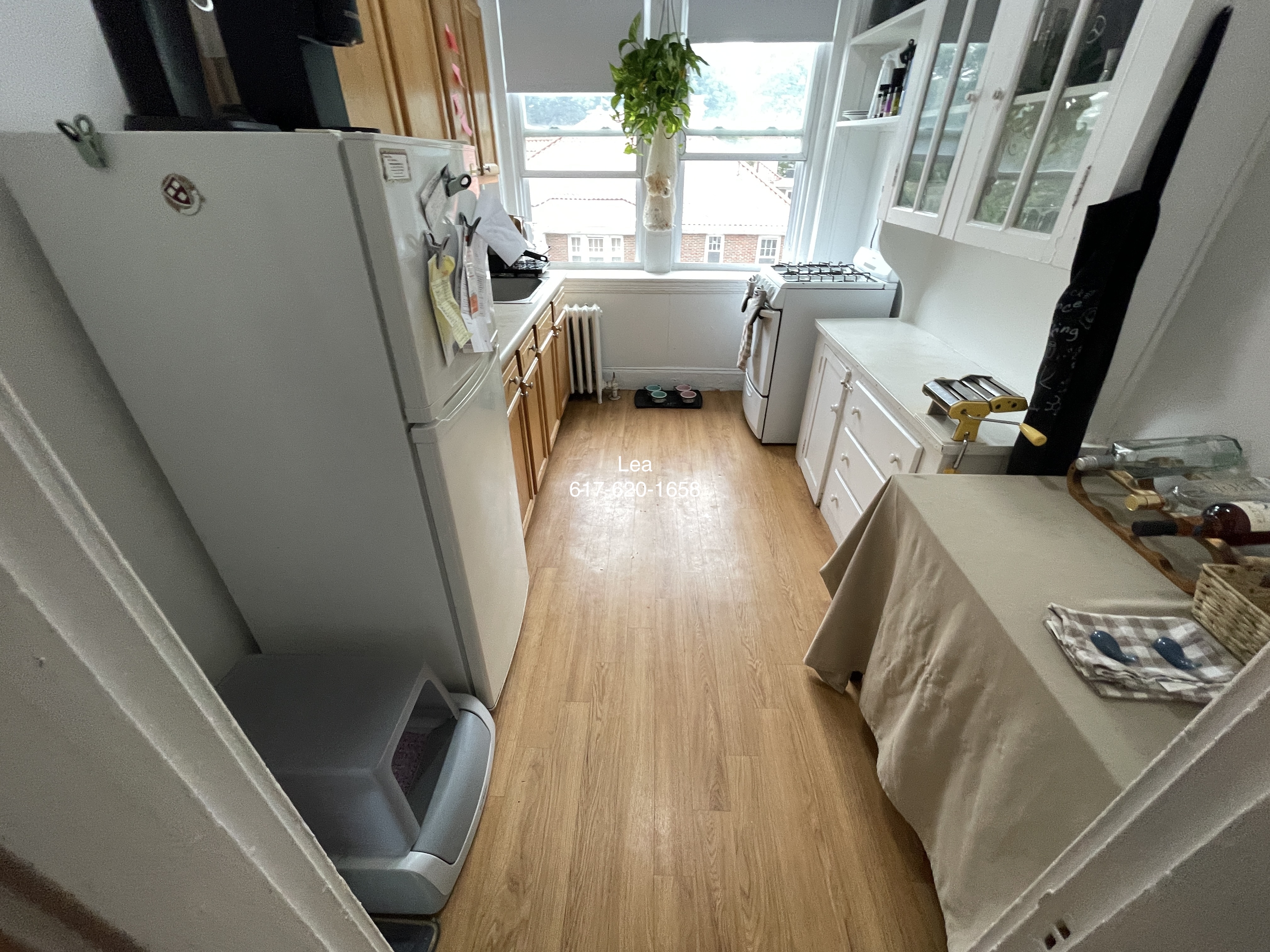 1800 Commonwealth Ave, Brighton