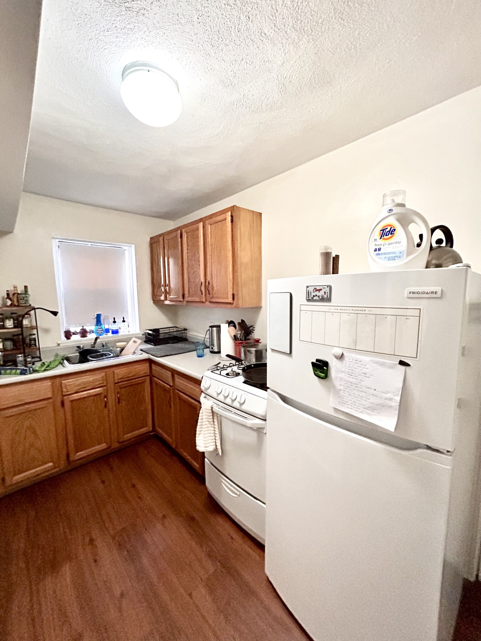 1 bed, 1 bath apartment for rent at 15 Egremont Rd Unit BSMT..., Brighton