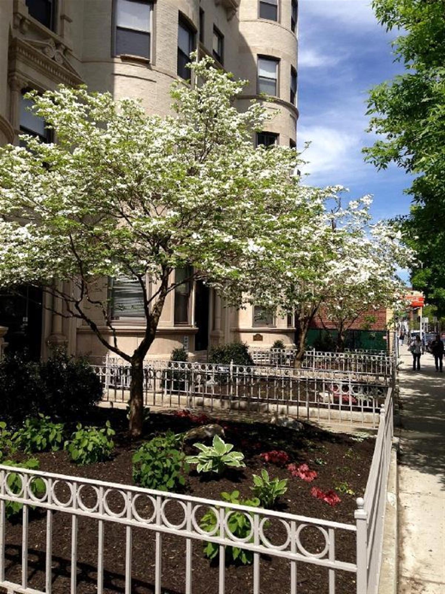 1 bed, 1 bath apartment for rent at 884 Massachusetts Ave Unit 615, Central Square — photo 15 of 18