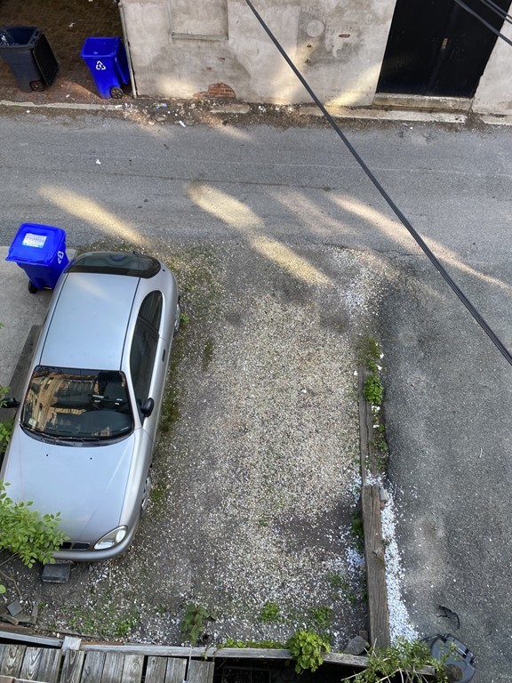 16 Wellington St, South End