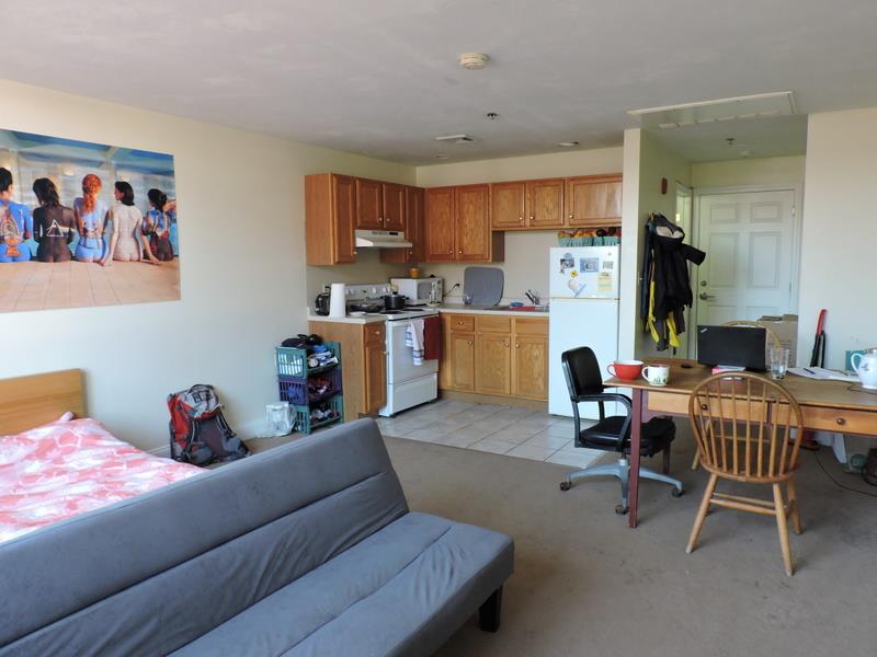 Studio bed, 1 bath apartment for rent at 15 Pearl St Unit 29, Central Square — photo 3 of 7