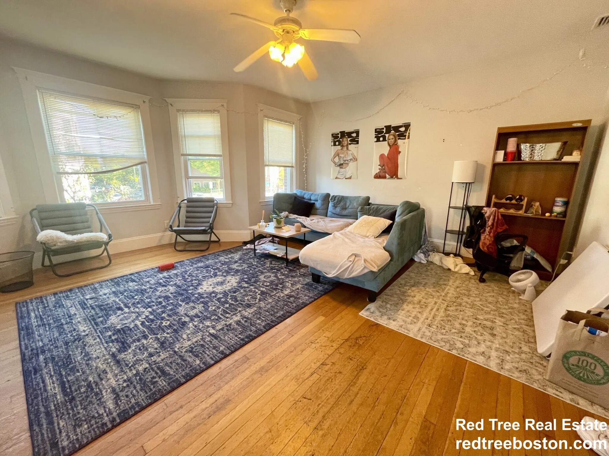 209 Chestnut Hill Ave, Brighton