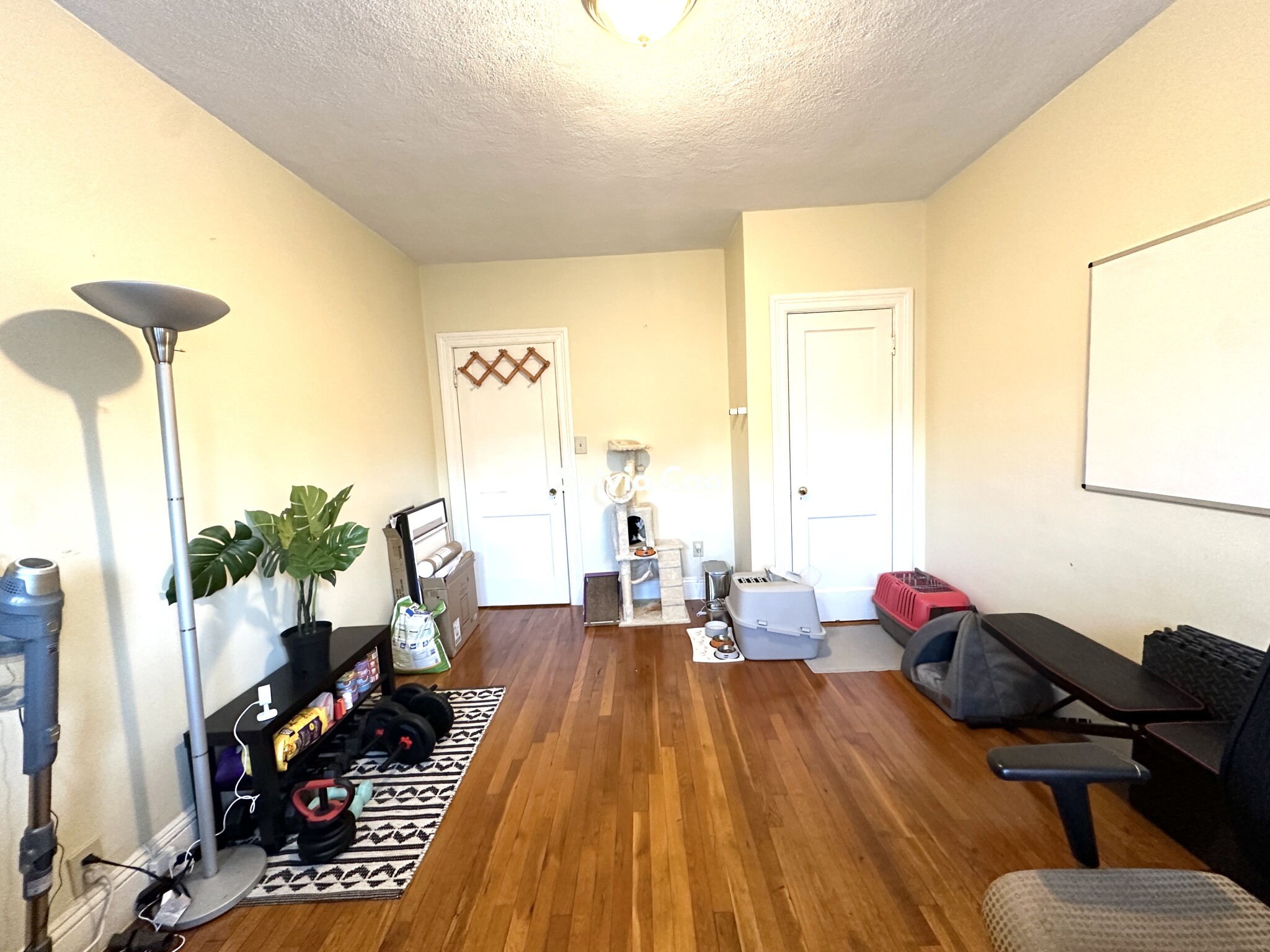 45 Chestnut Hill Ave, Brighton