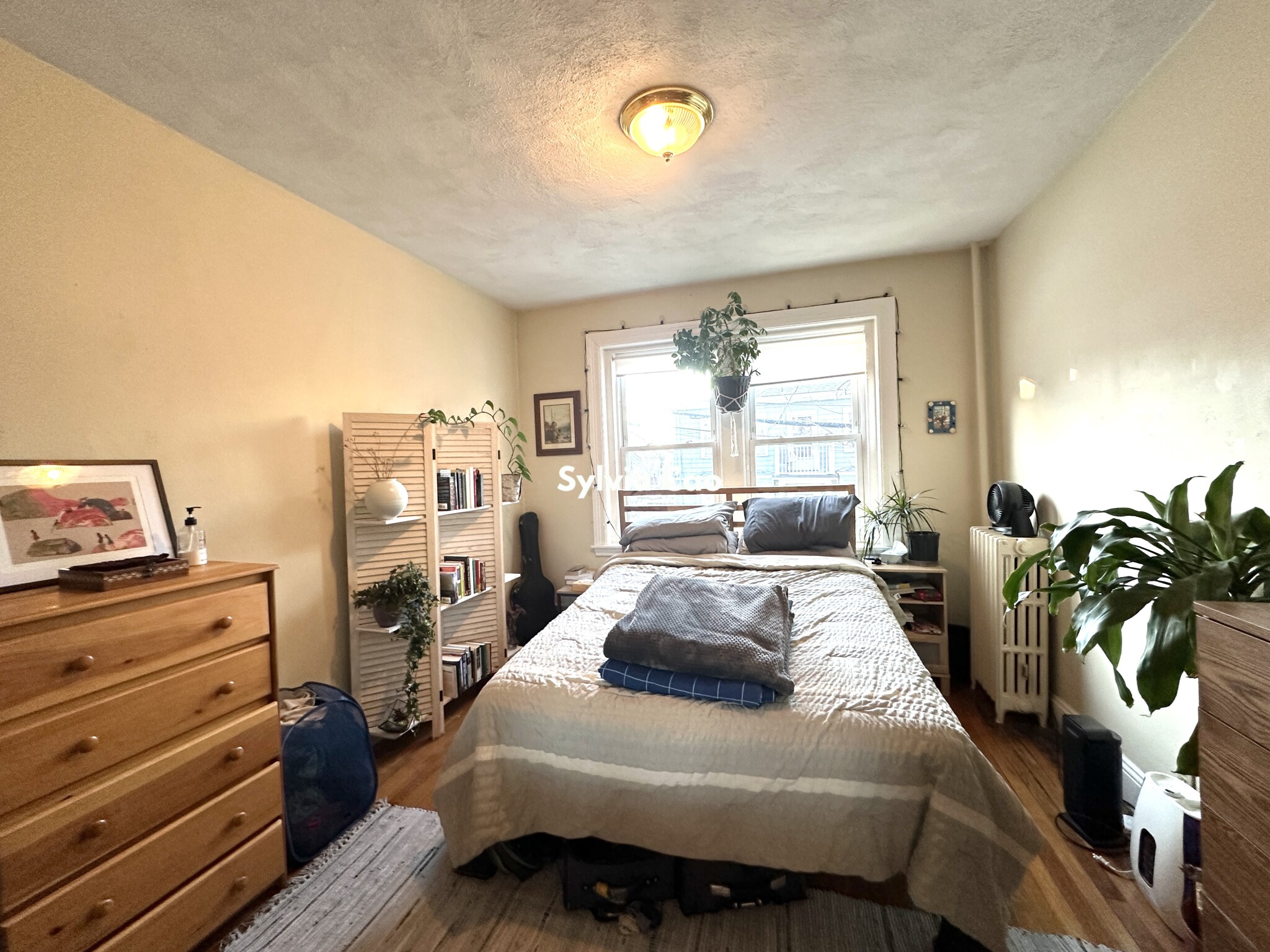 45 Chestnut Hill Ave, Brighton