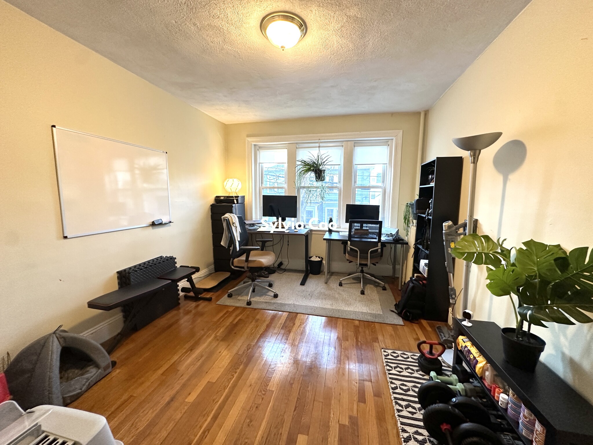 45 Chestnut Hill Ave, Brighton