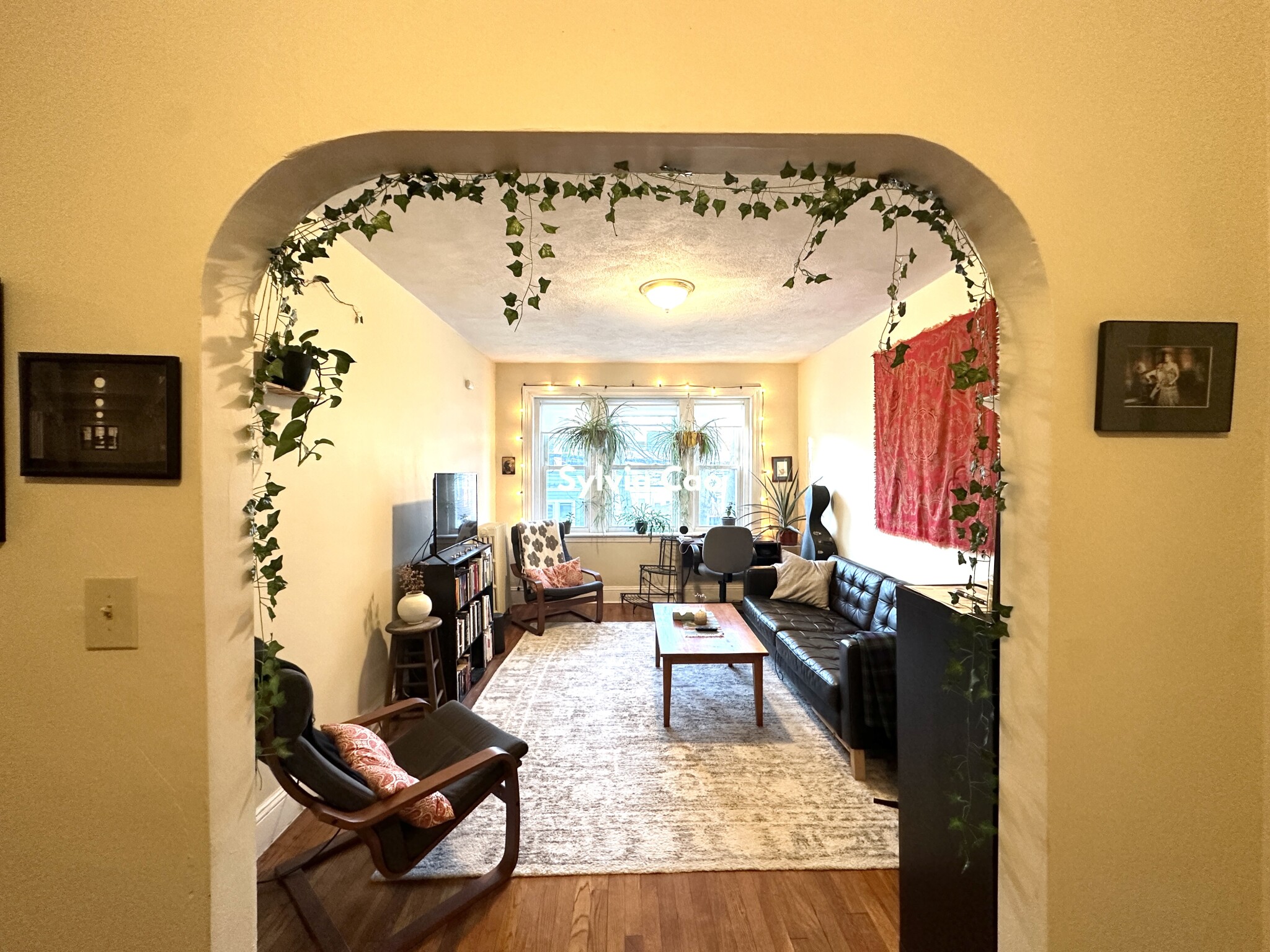 45 Chestnut Hill Ave, Brighton