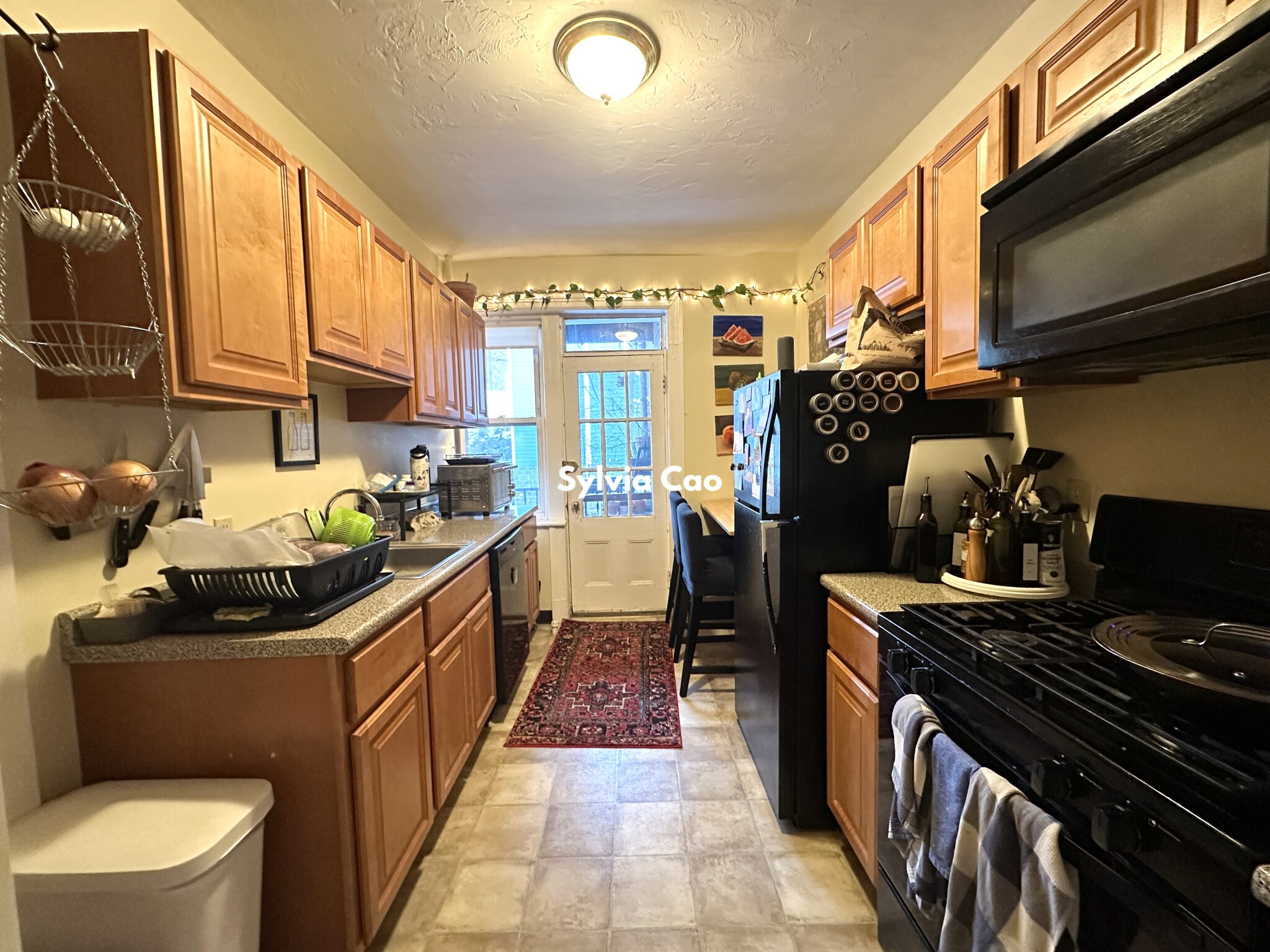 45 Chestnut Hill Ave, Brighton