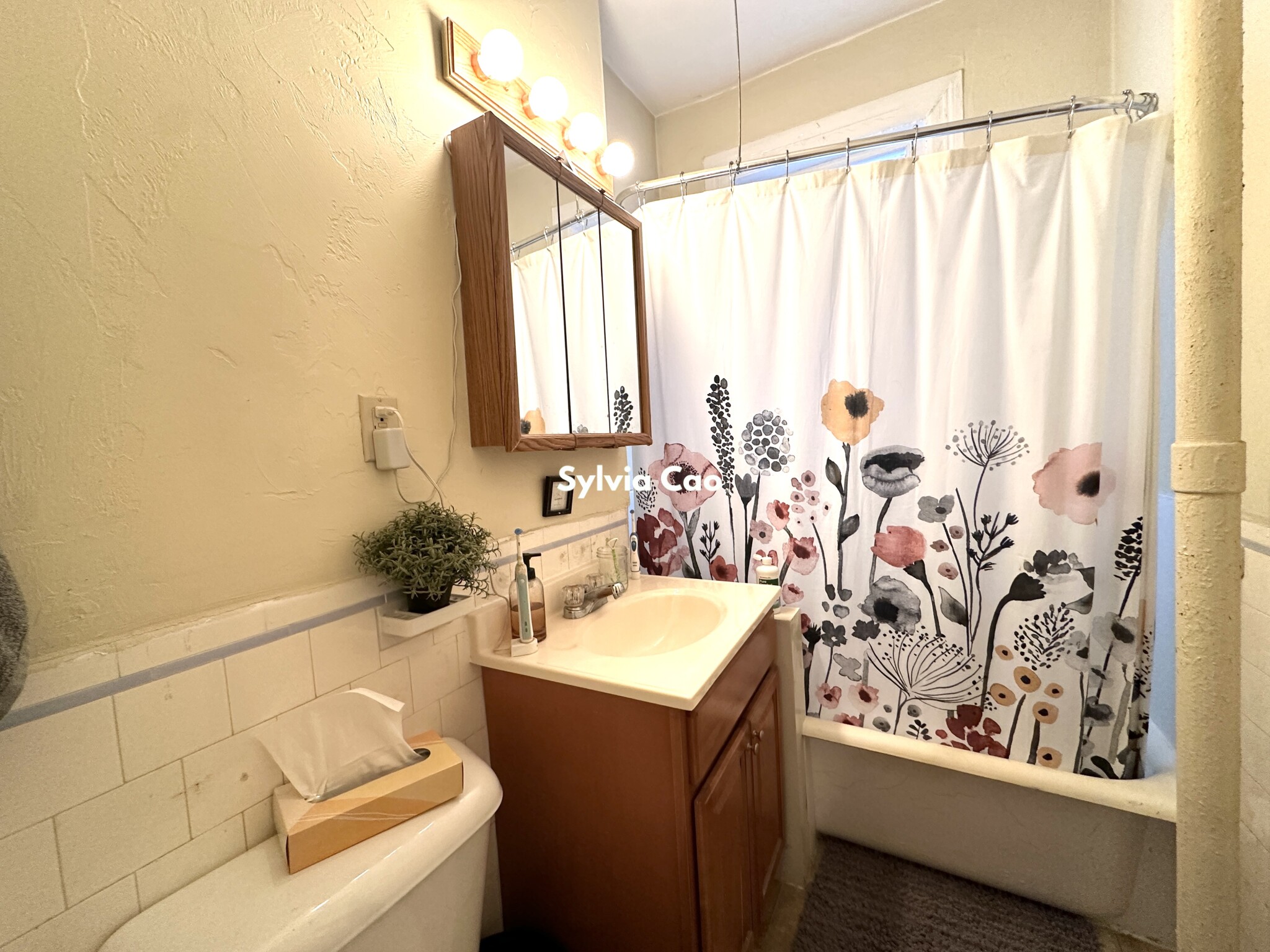 45 Chestnut Hill Ave, Brighton