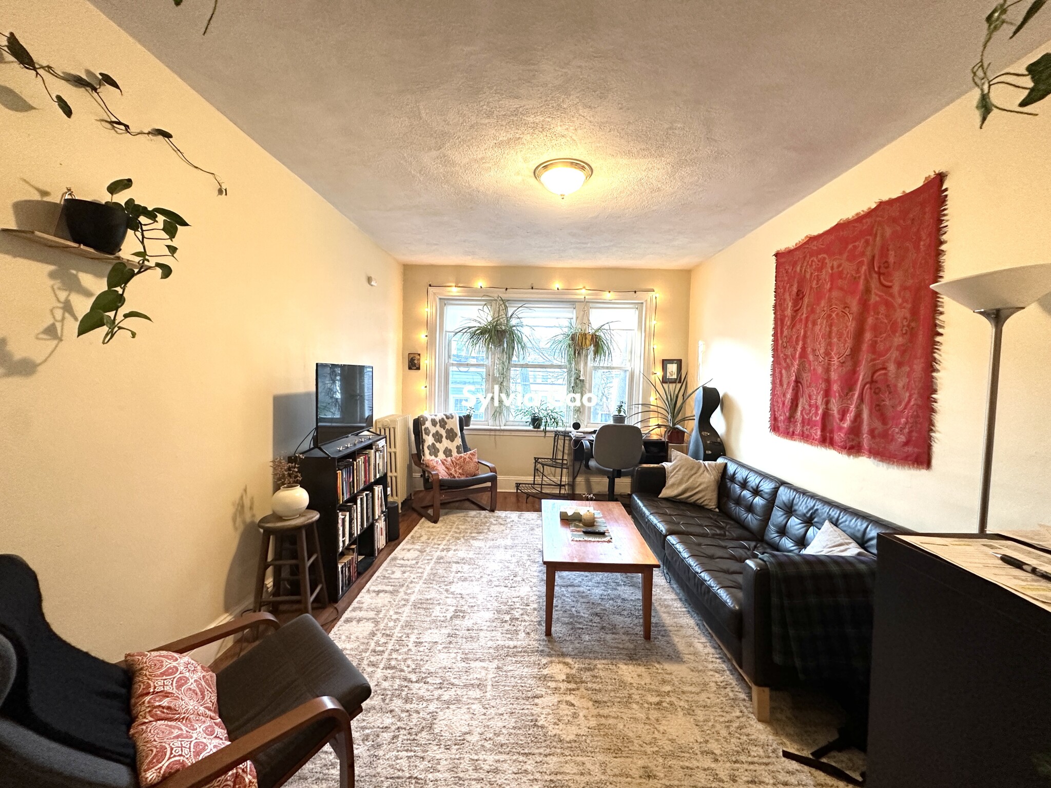 45 Chestnut Hill Ave, Brighton