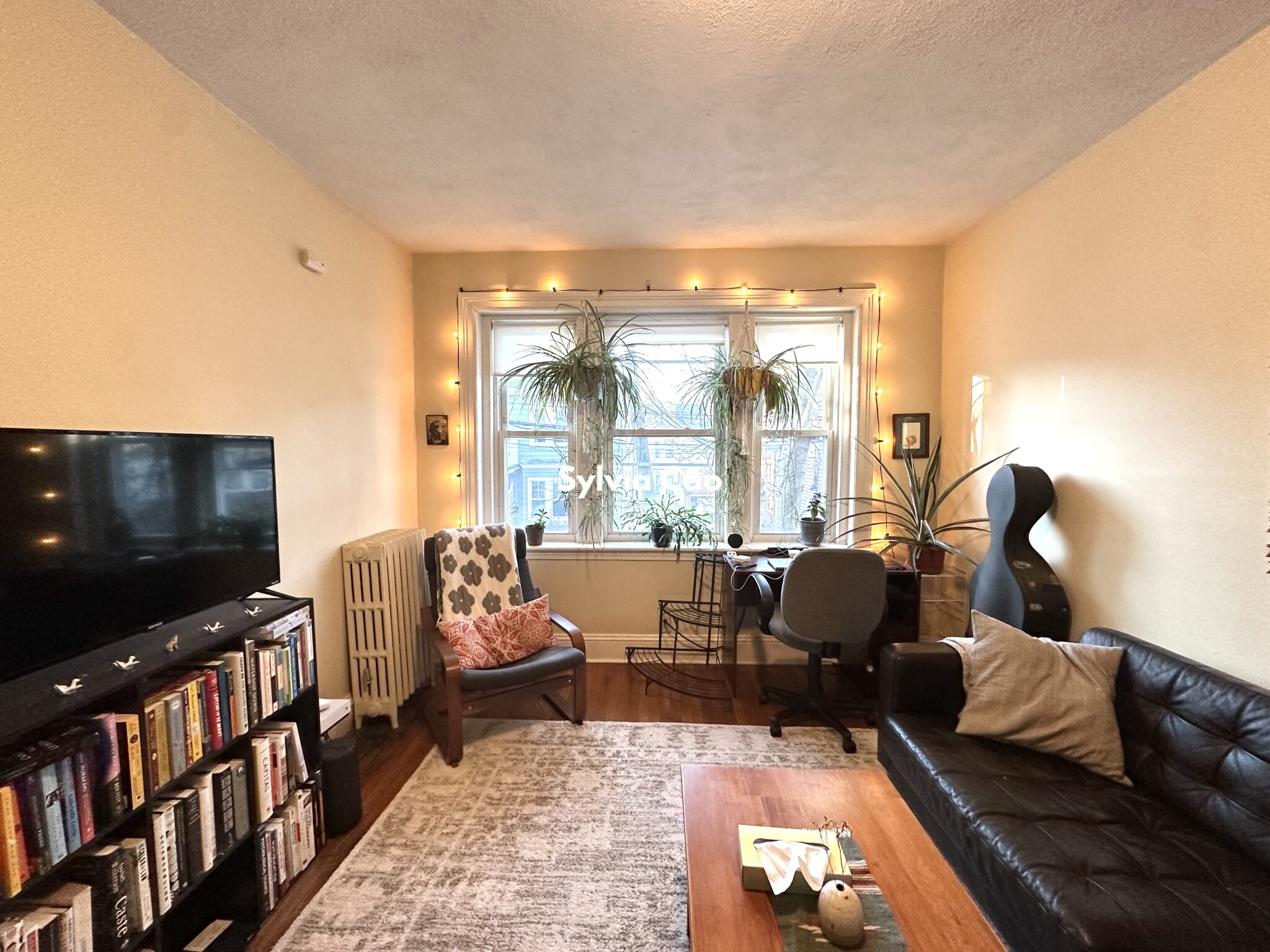 45 Chestnut Hill Ave, Brighton