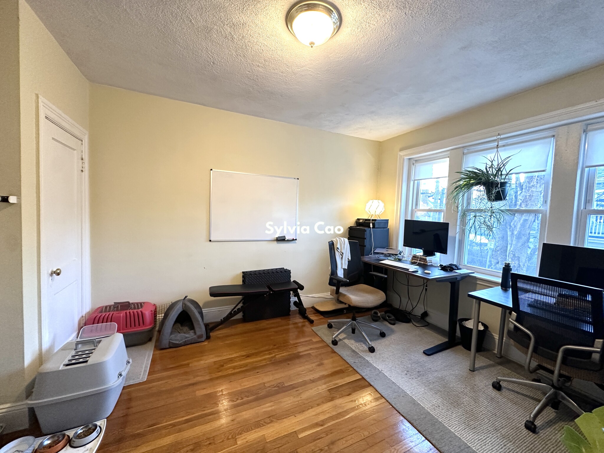 45 Chestnut Hill Ave, Brighton