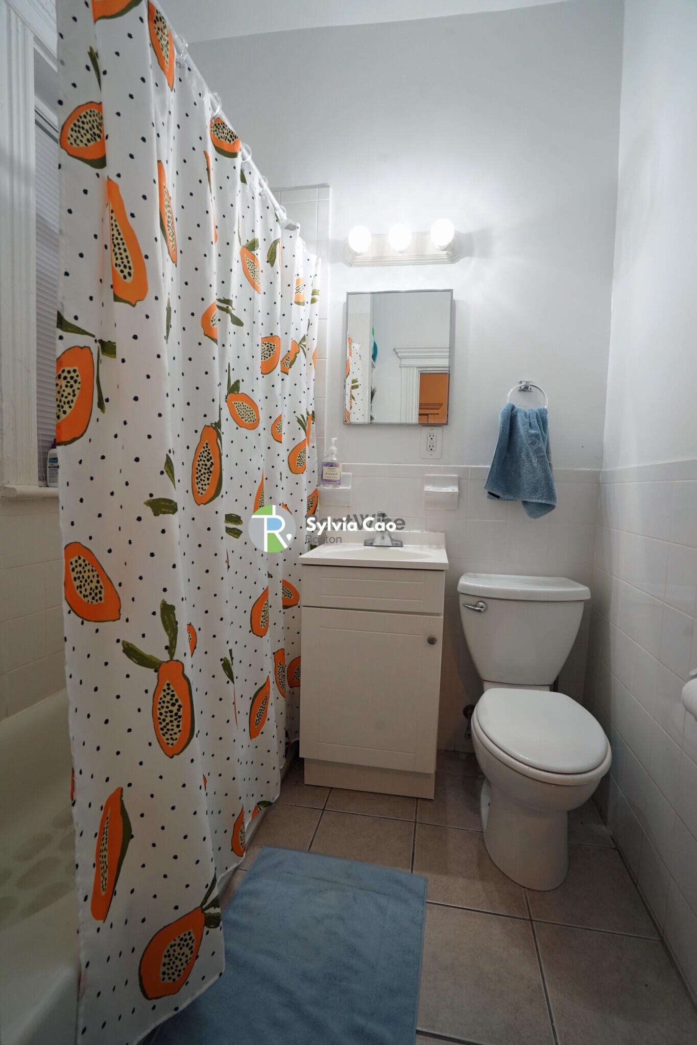 1298 Commonwealth Ave, Allston