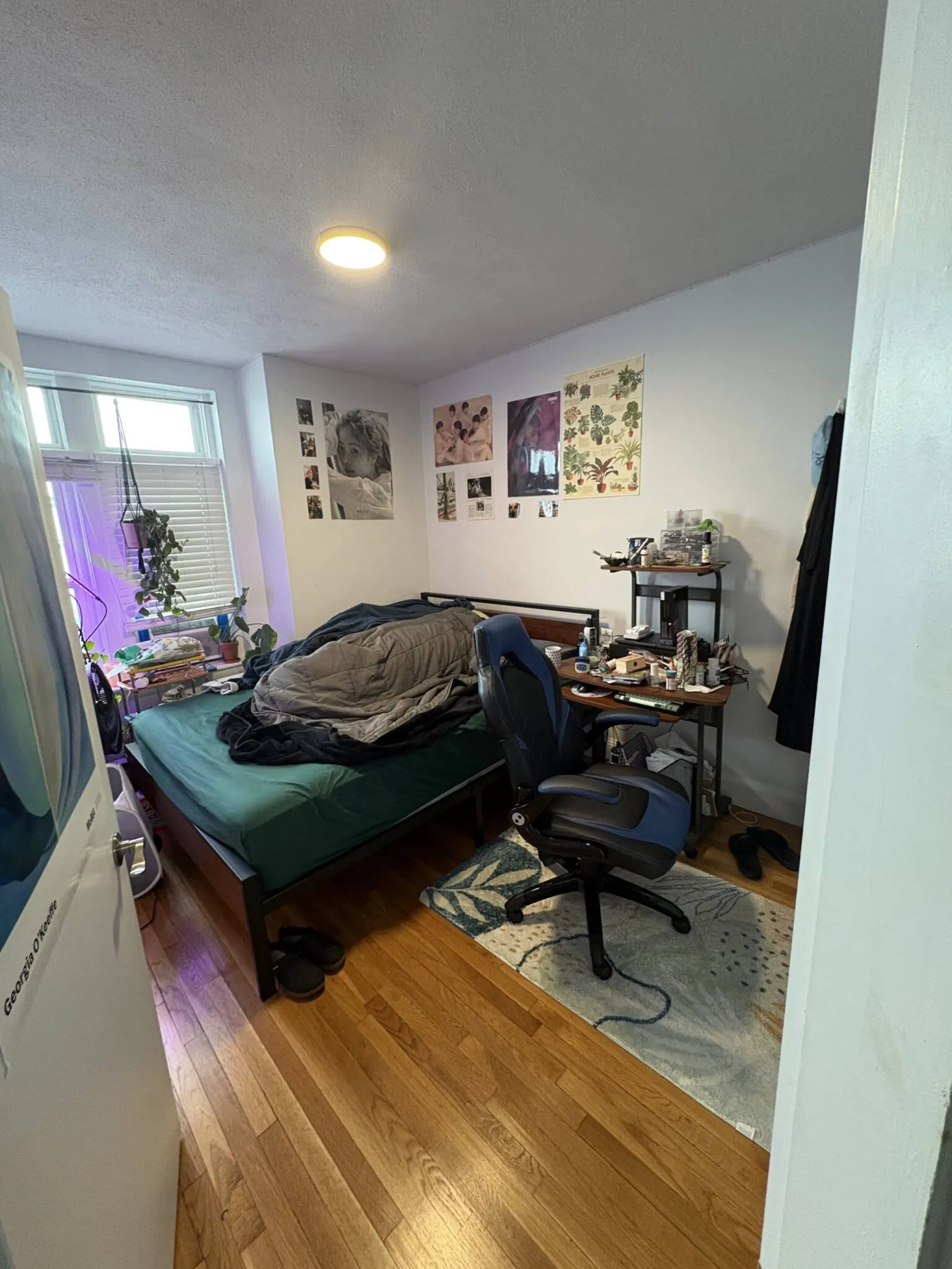 45 Westland Ave, Fenway