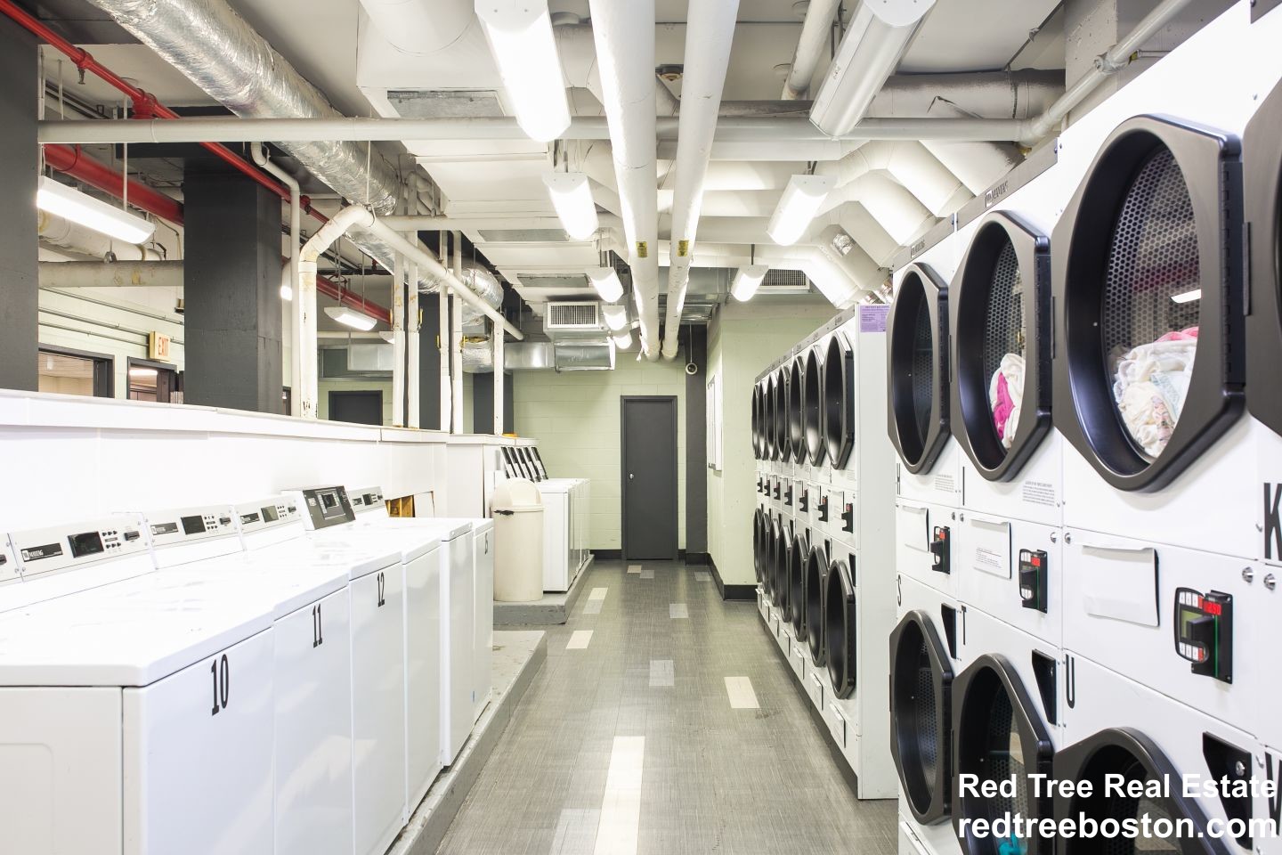 175 Freeman St, North Brookline