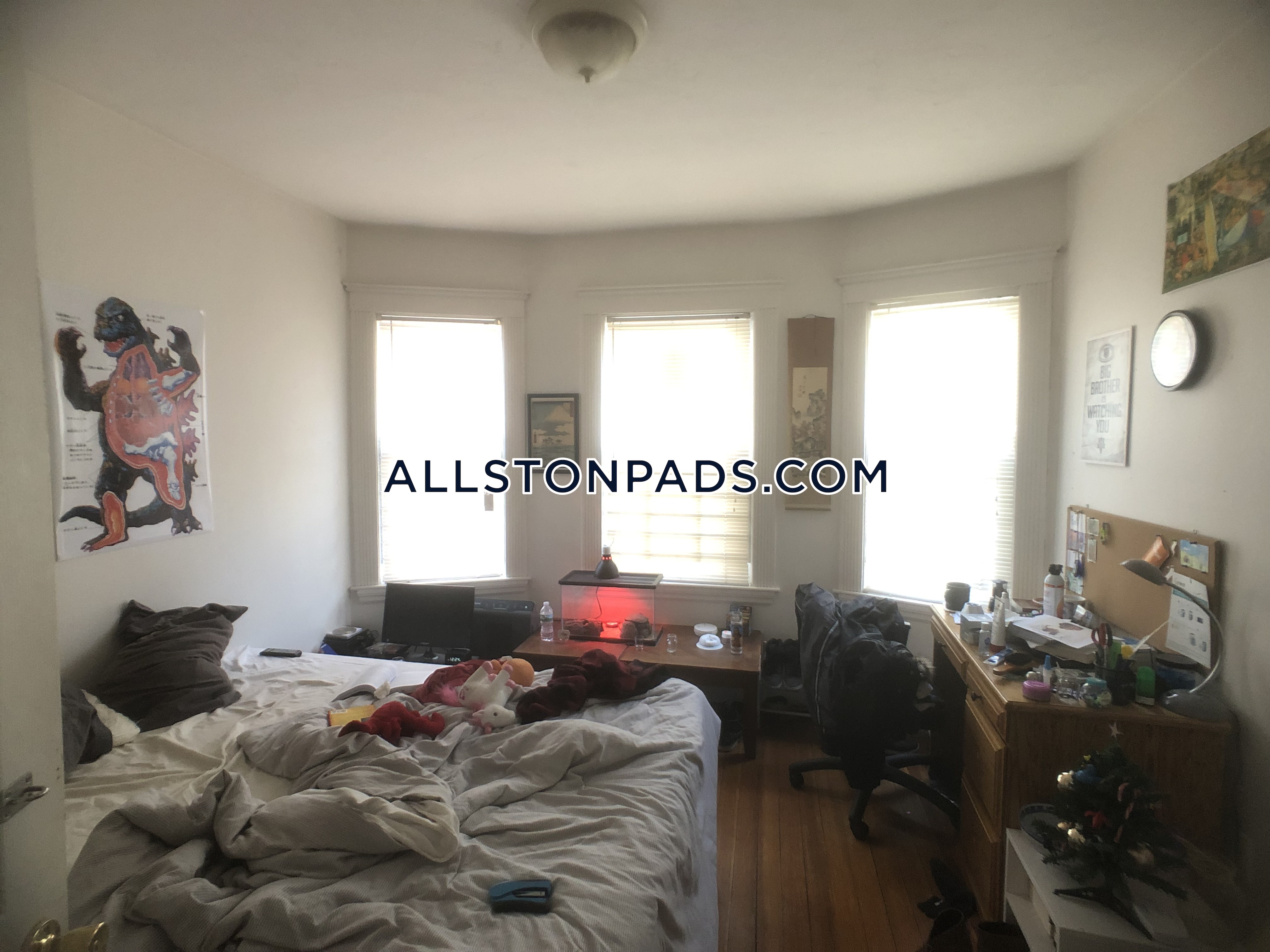 4 bed, 1 bath apartment for rent at 51 Gardner St Unit U1, Allston — photo 21 of 22