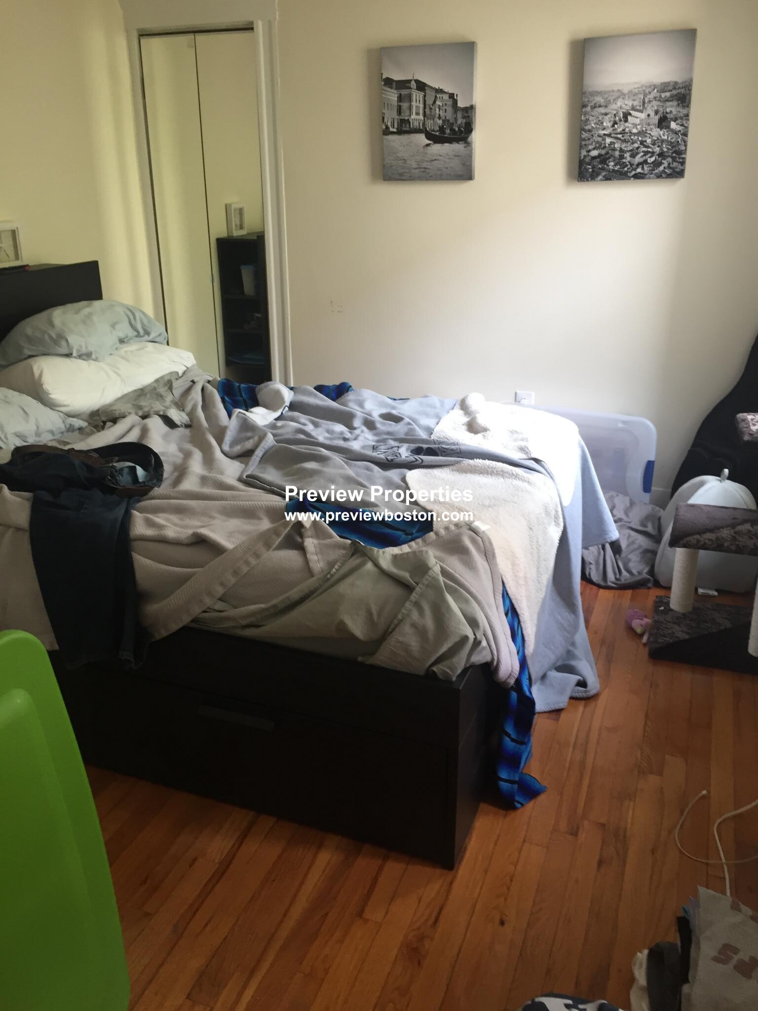 12 Ransom Rd, Brighton