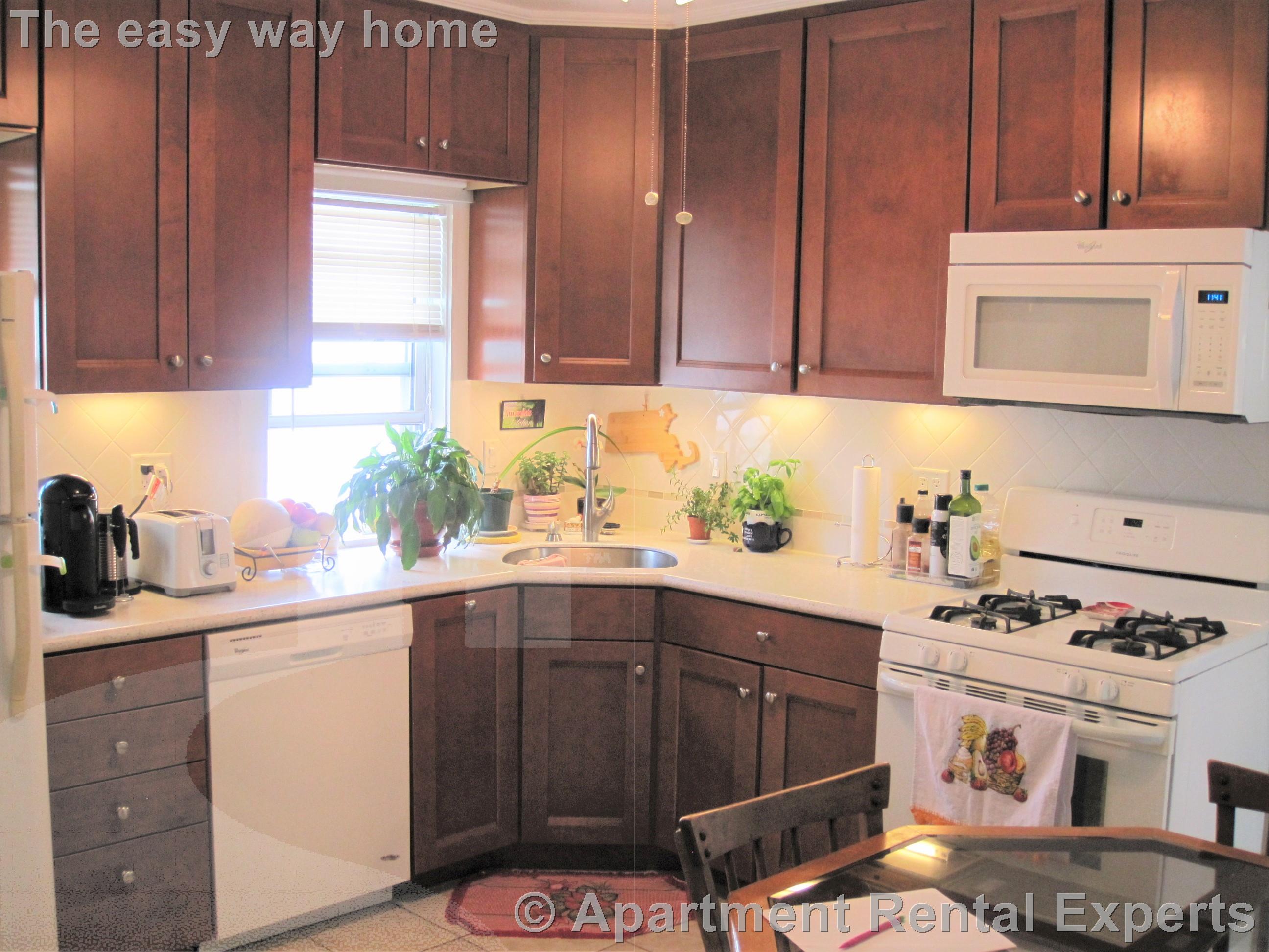 59 Windsor Rd, Tufts