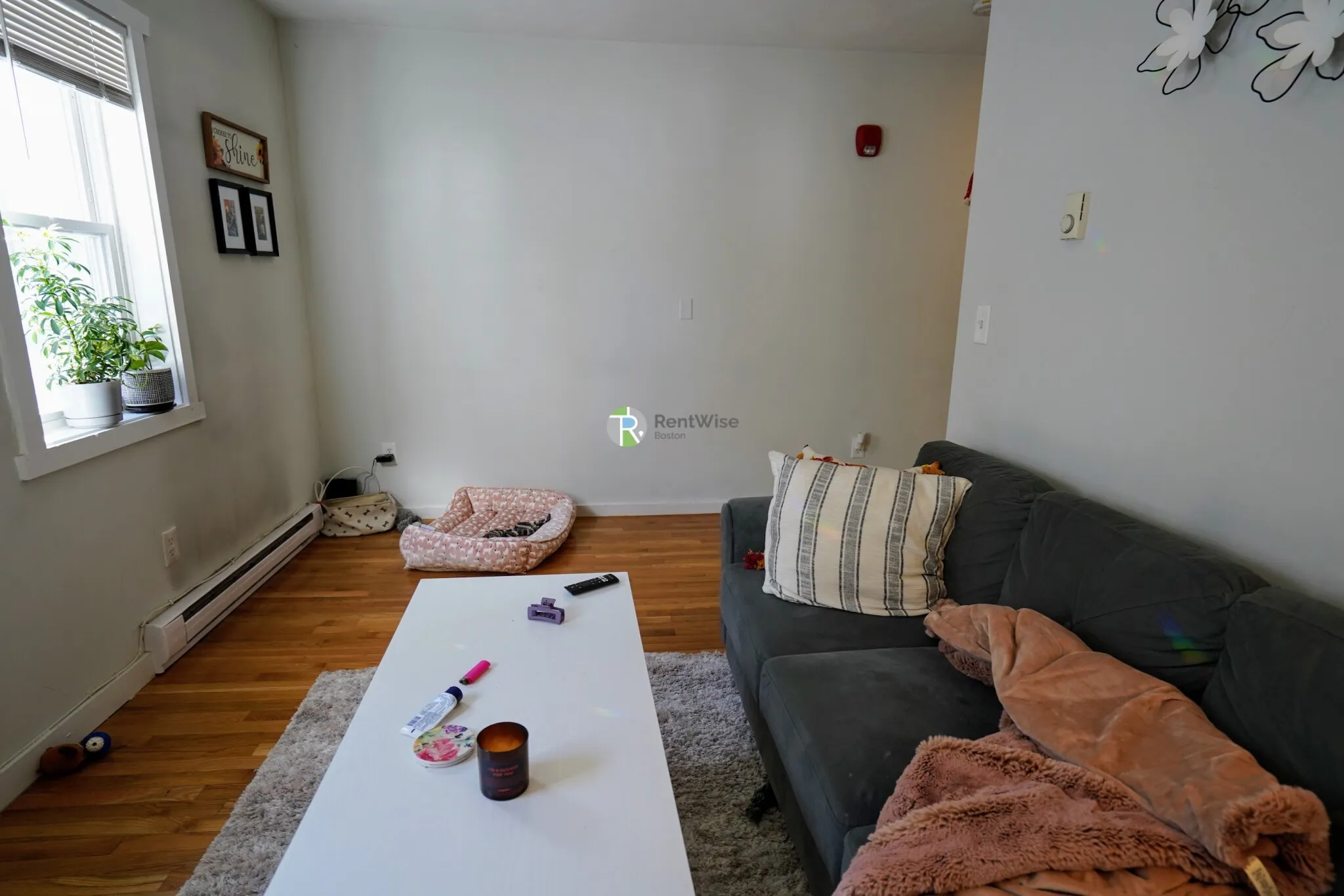 3 Schrepel Pl, South Boston