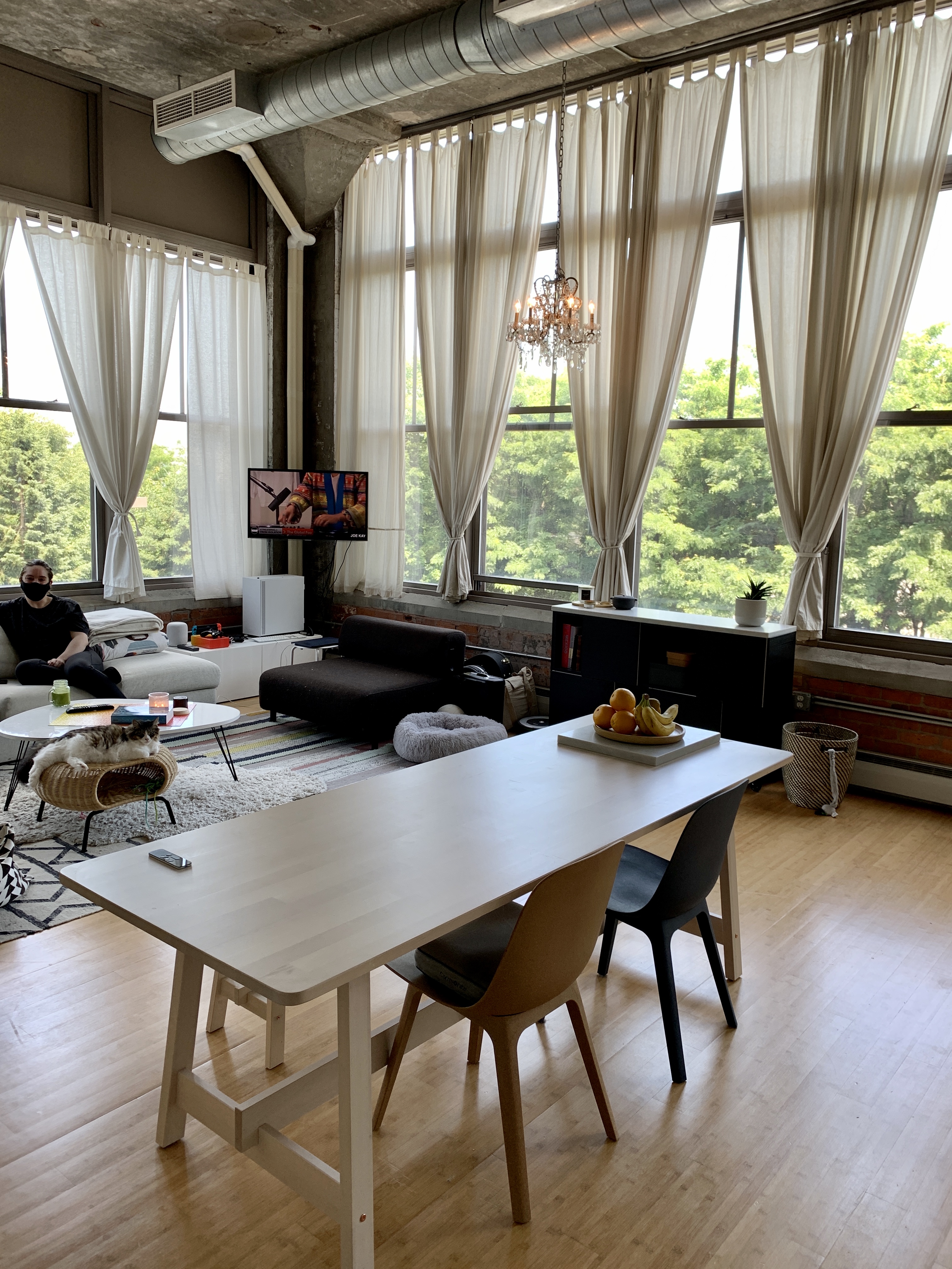 1 bed, 1 bath apartment for rent at 156 Porter St Unit 257, East Boston — photo 1 of 14