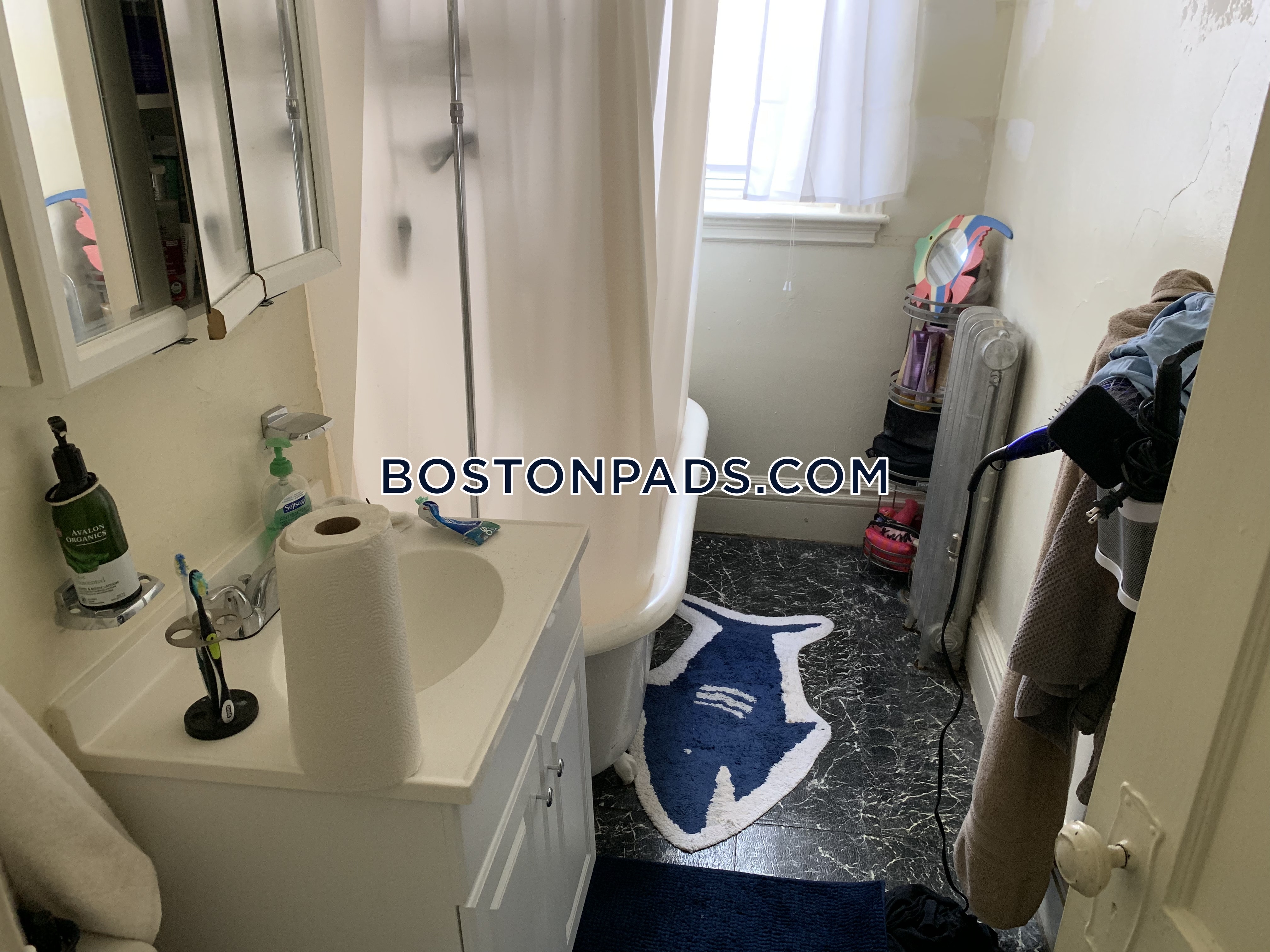 Studio bed, 1 bath apartment for rent at 19 Queensberry St Unit 43, Fenway — photo 4 of 4