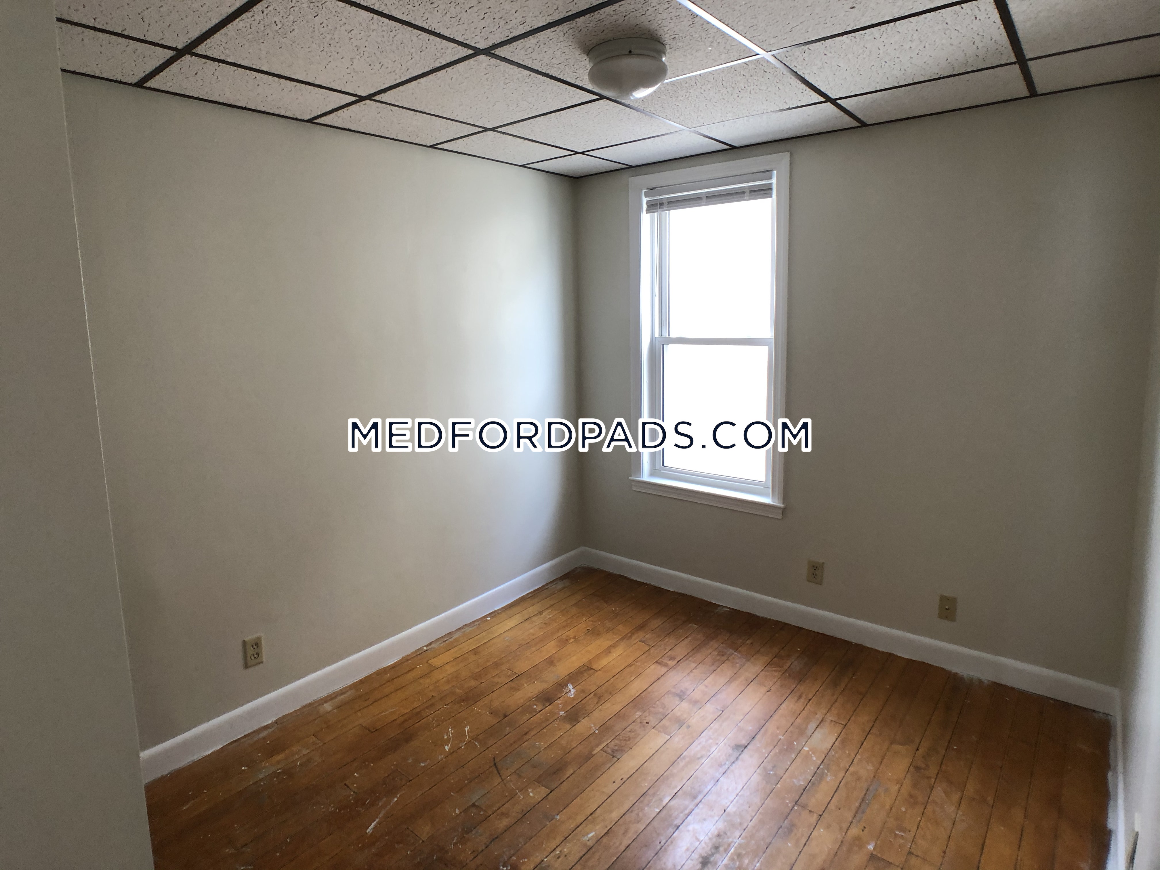 4 bed, 1 bath apartment for rent at 77 Lynman Ave Unit 2, Tufts University — photo 23 of 31